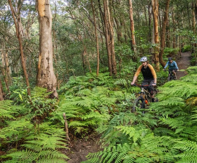 glenrock mountain bike trails